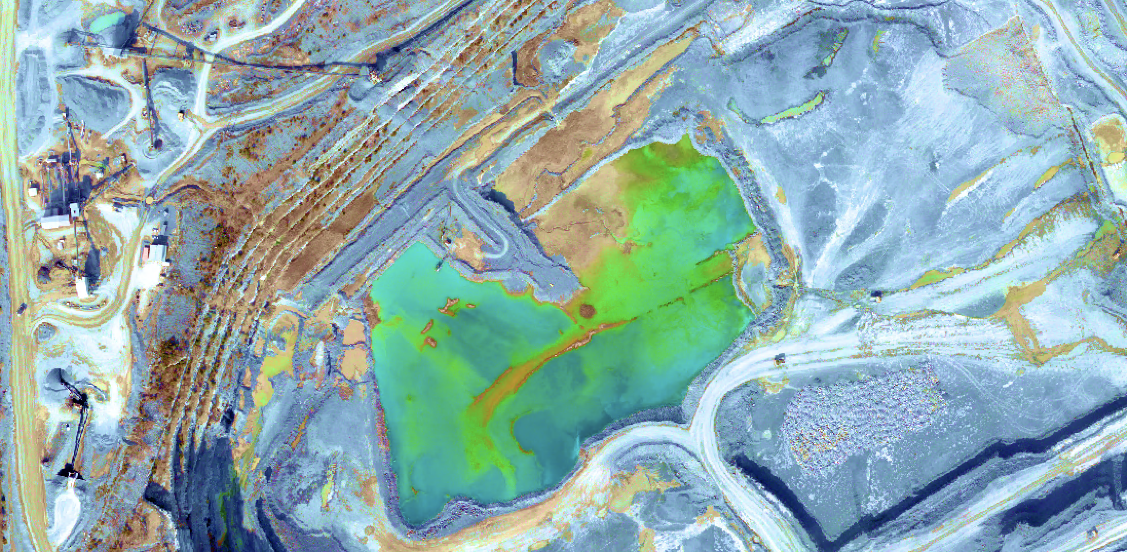 NDVI Image