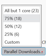 The Parallel Downloads dropdown open, showing core-count presets and a Custom option